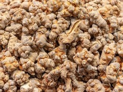 三味中药泡水通血栓 三种通血栓中药介绍