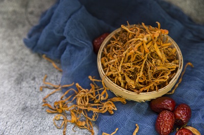 蛹虫草含片功效与作用