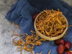 蛹虫草含片功效与作用 盘点蛹虫草含片四大功效
