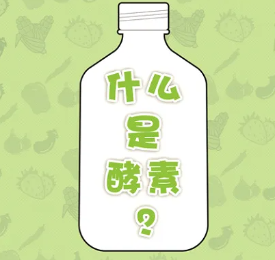 酵素的十大功效与作用