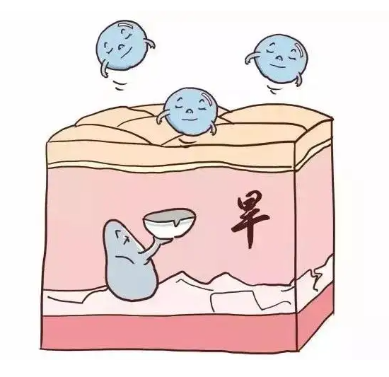 脸型与发型的最佳搭配