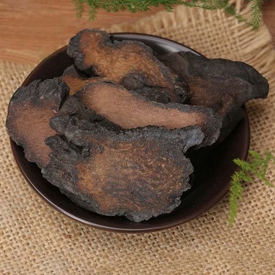 管花肉苁蓉