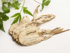 当归提取物功效与作用 什么会在家中常备当归