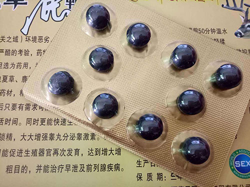 鹿鞭丸价格