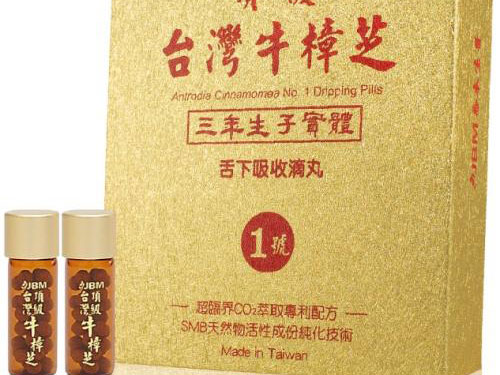 台湾牛樟芝功效与作用