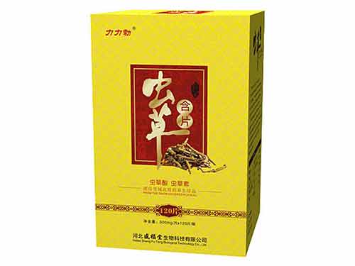 人参虫草压片糖果作用