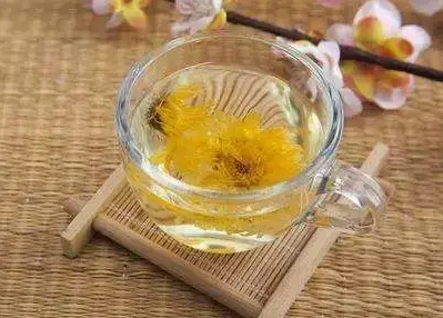 中医如何治痘痘  野菊花煎水治痘痘