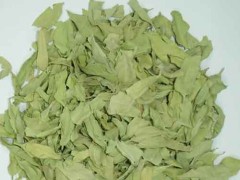 罗布麻味归经功效 罗布麻去肝火吗