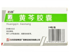 黄芩胶囊的成分是什么，黄芩胶囊的功效与作用