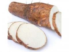 野生葛根有副作用吗，野生葛根的禁忌