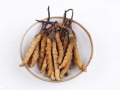 冬虫夏草王多少钱一斤 冬虫夏草王的功效