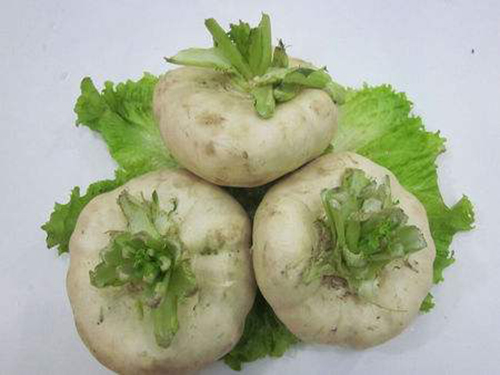 山蔓菁价??