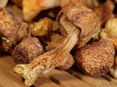 沙棘果片功效与作用 沙棘果增强免疫力吗