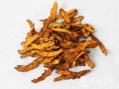 黄连木的功效与作用 黄连木的的药用价值