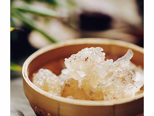 雪燕的功效与作用