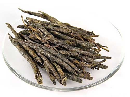 苦丁树的药用价值