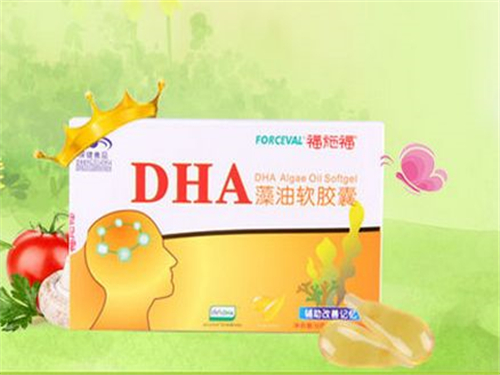 dha改善记忆力怎么服用