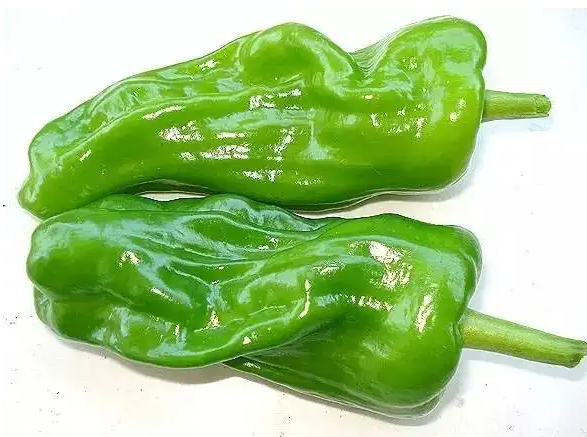 皮肤过敏的处理方法 夏天皮肤过敏吃什么好