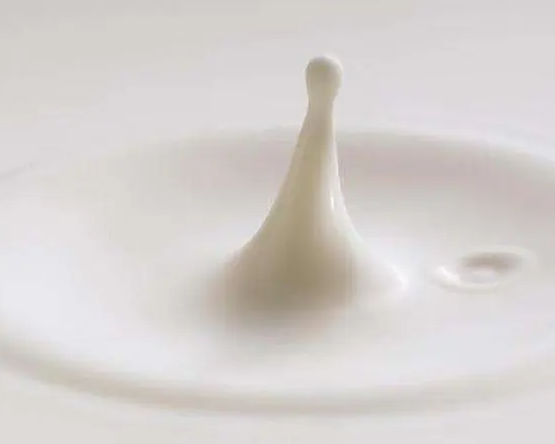用纯牛奶洗脸的步骤