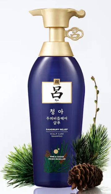 油性头发脱发用什么洗发水 头发出油怎么办