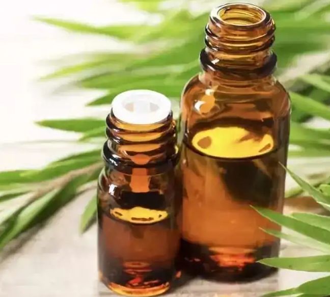 茶树精油怎么去粉刺