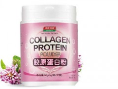 胶原蛋白粉多少钱