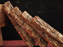 kuba树皮的功效与作用 kuba树皮的三大功效