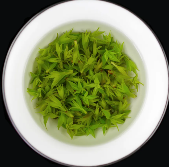 苦丁茶能治脱发吗