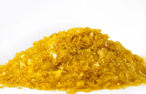 熊胆粉的作用有哪些 熊胆粉服用多久才能见效呢