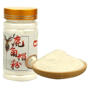 鹿角帽粉的作用与功效禁忌 服用鹿角帽粉的两大禁忌