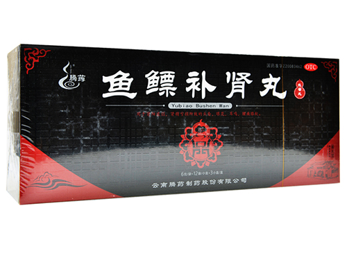 鱼鳔补肾丸哪个牌子好