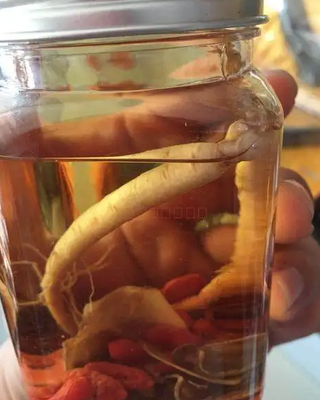 鹿鞭酒的功效与作用 鹿鞭酒一天喝多少 