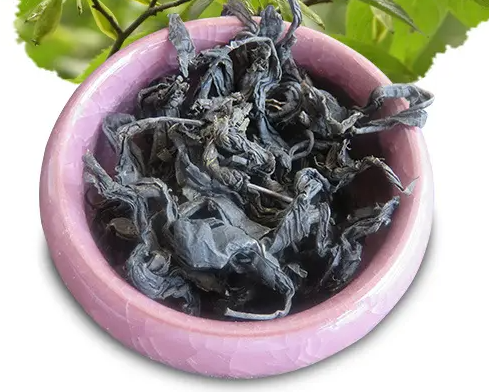 杜仲茶的功效与作用 喝杜仲茶可以减肥吗 