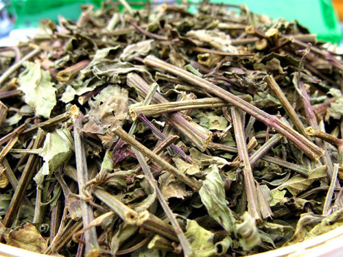 肾茶的功效与作用