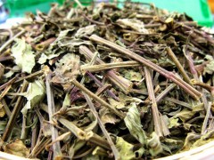 肾茶的功效与作用