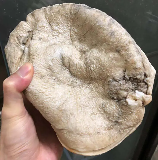 肉灵芝的作用 肉灵芝的食用方法