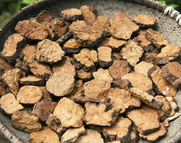 何首乌的作用与功效 生何首乌的正确吃法