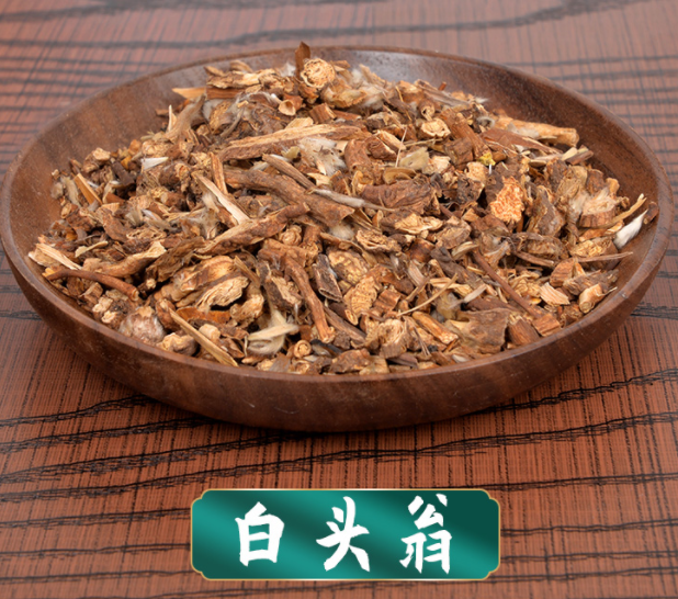 白头翁的作用 白头翁的功效