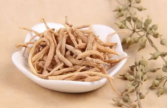 太子参的功效与作用有哪些 太子参怎么炖给小孩吃