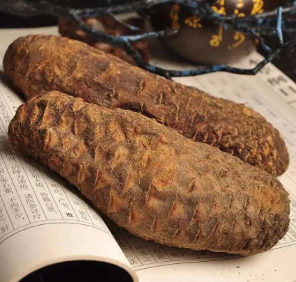 肉苁蓉的功效与作用 肉苁蓉泡水的功效 
