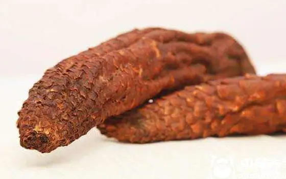 肉苁蓉怎么吃 肉苁蓉的适用人群 
