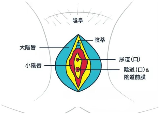 抚摸刺激阴蒂也要讲技巧!_美健品招商网