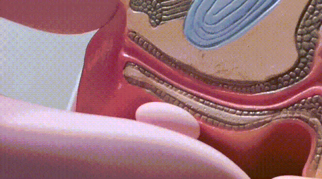G点的手指动作