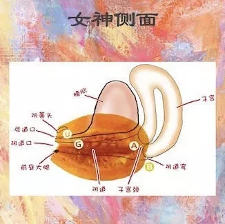 CUGAB点示意图