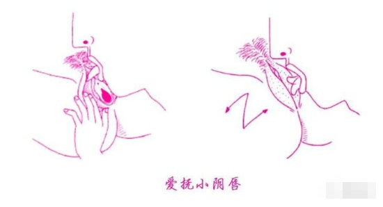 让她高潮迭起的口爱技巧