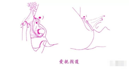 让她高潮迭起的口爱技巧