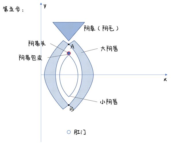 大阴外侧图片