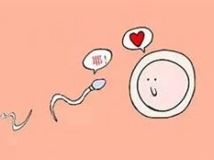 什么姿势能增加怀孕几率？受孕最佳体位图解