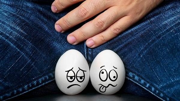 性生活中睾丸有什么用?科学解析男人蛋蛋的真正功能