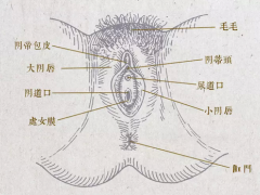 揉豆豆——五招带你上云端